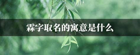 霖名字意思|霖字取名的寓意